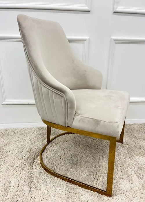 Chelmsford Velvet Dining Chair House of Fleur