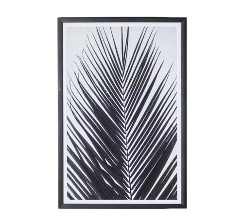 Monochrome Palm Framed Art House of Fleur